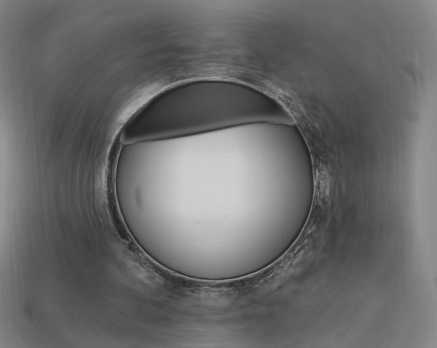 X0000113980292200910020954