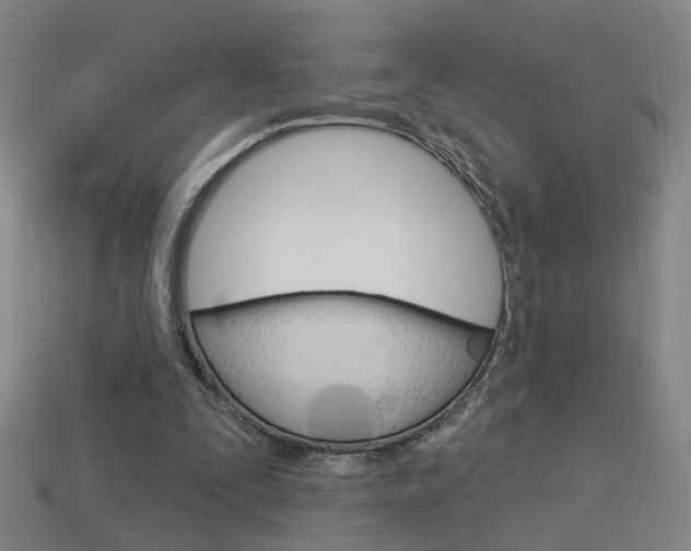 X0000113980295200910020954