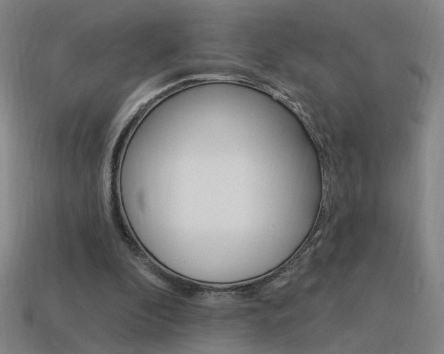 X0000113980296200910020954