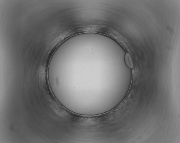 X0000113980297200910020954
