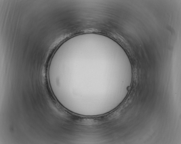 X0000113980298200910020954