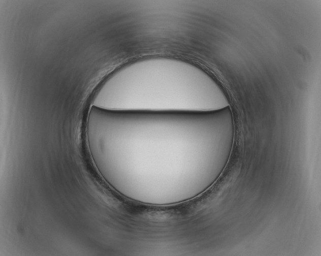 X0000113980299200910020954