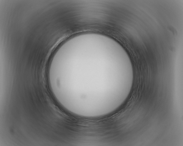X0000113980300200910020954