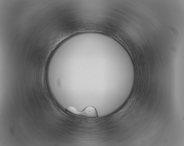 X0000113980301200910020954