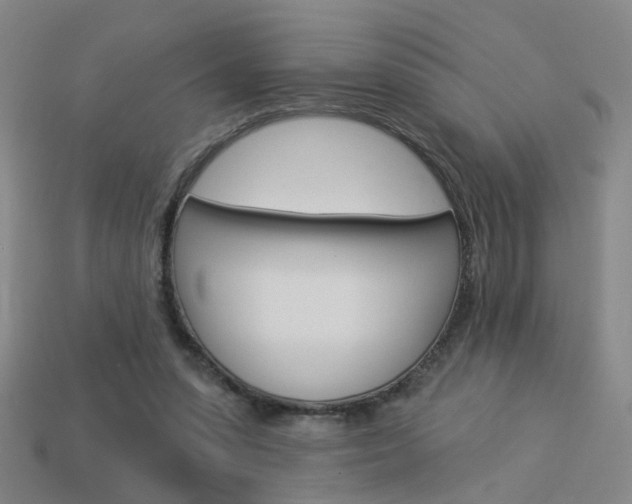 X0000113980303200910020954