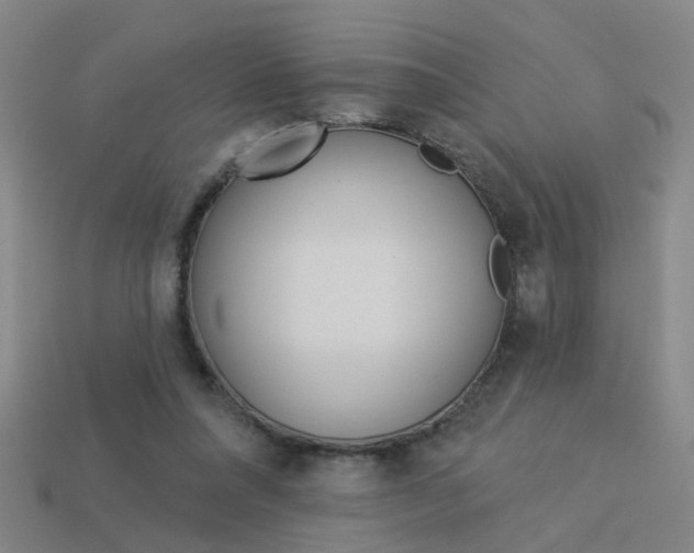 X0000113980304200910020954