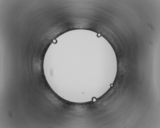 X0000113980305200910020954