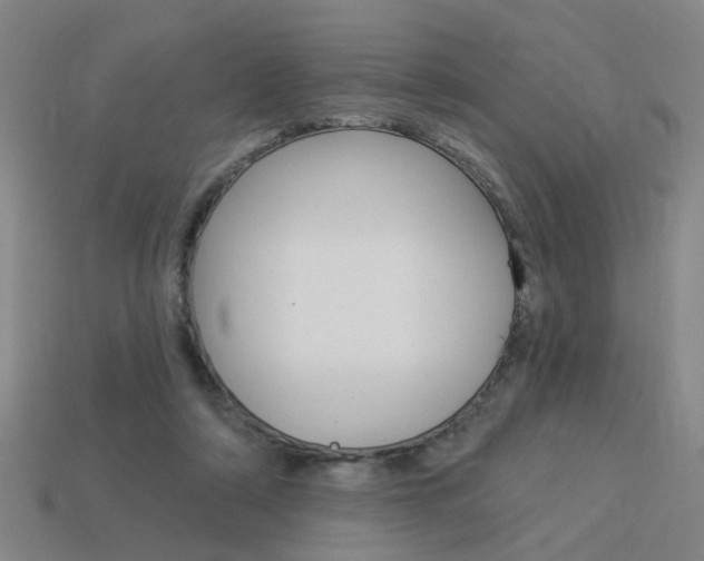 X0000113980306200910020954