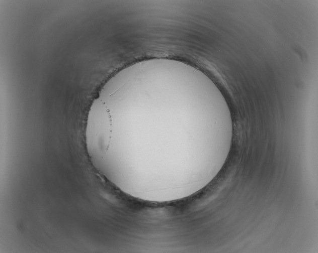 X0000113980307200910020954