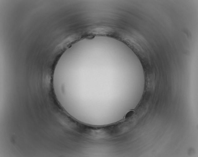 X0000113980309200910020954