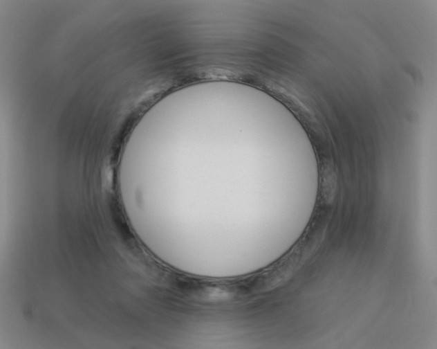 X0000113980310200910020954