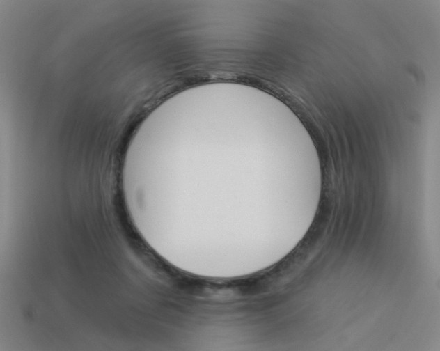 X0000113980311200910020954