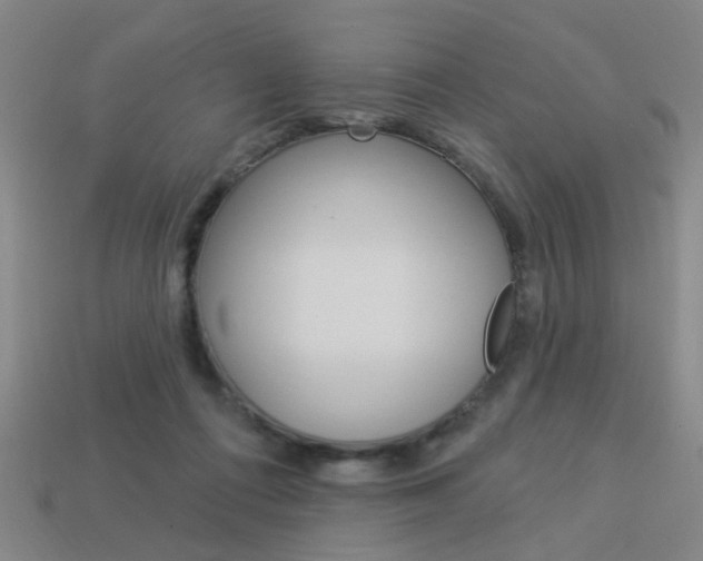 X0000113980312200910020954