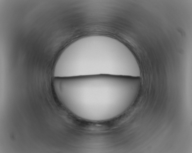 X0000113980315200910020954