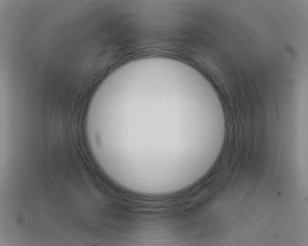 X0000113980316200910020954