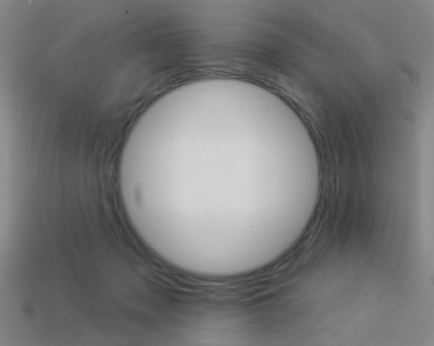 X0000113980317200910020954