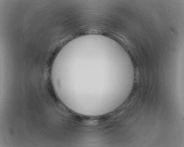 X0000113980318200910020954