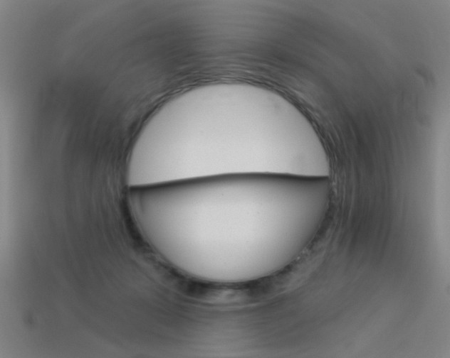 X0000113980319200910020954
