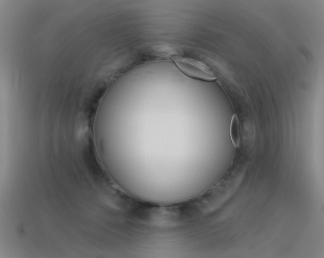 X0000113980320200910020954