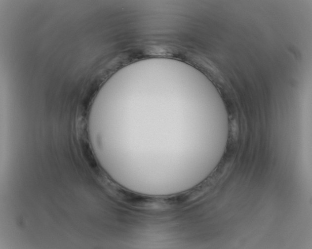 X0000113980322200910020954