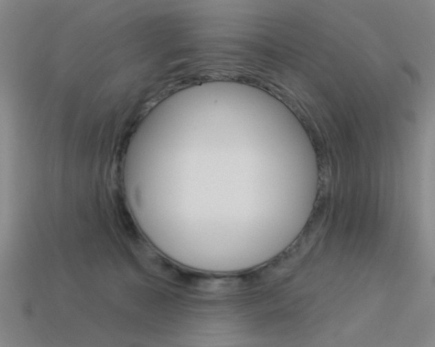 X0000113980323200910020954