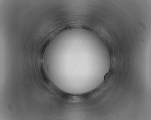 X0000113980324200910020954