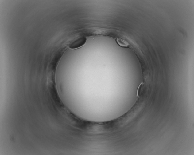 X0000113980325200910020954