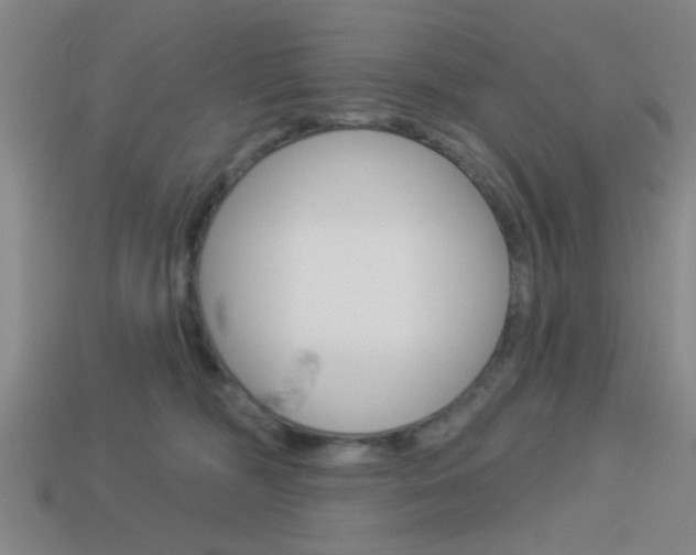 X0000113980326200910020954