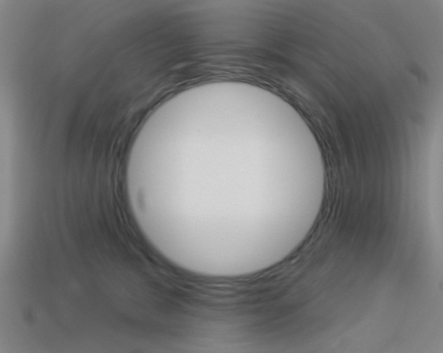X0000113980327200910020954