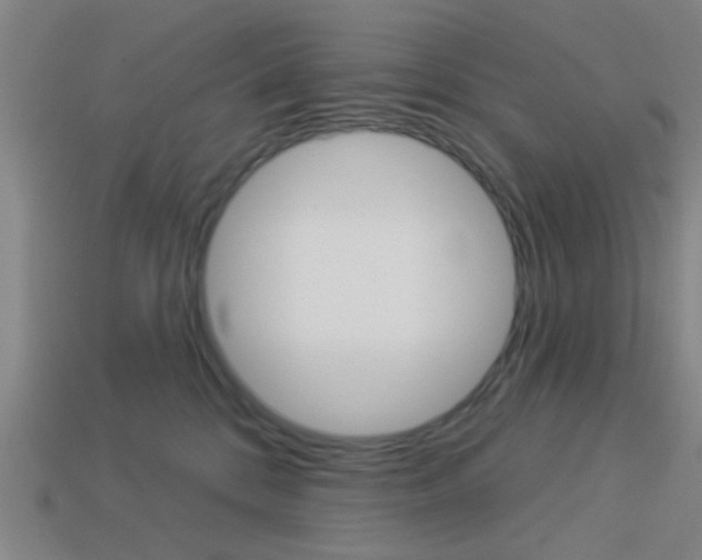 X0000113980328200910020954