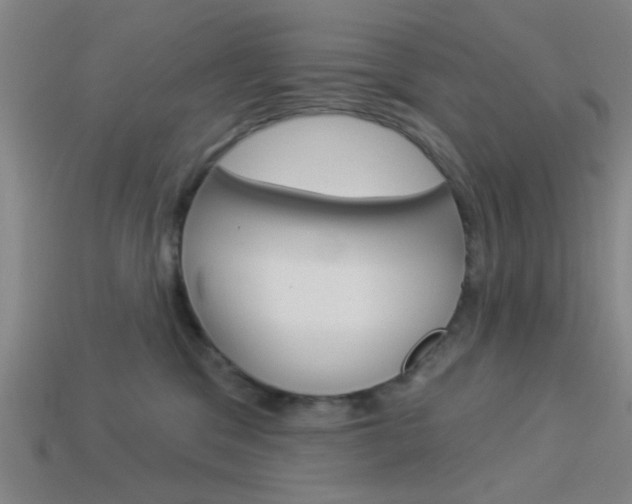 X0000113980329200910020954