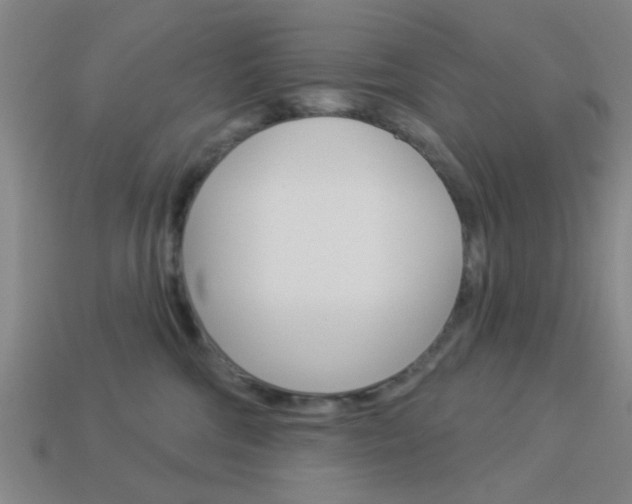 X0000113980330200910020954