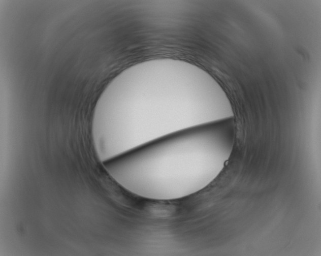 X0000113980331200910020954