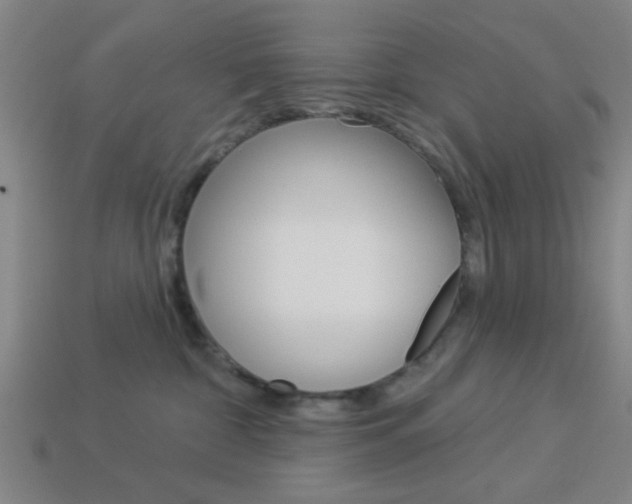 X0000113980332200910020954