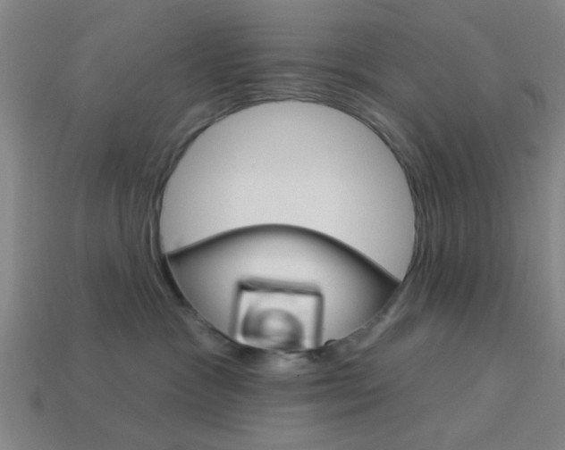 X0000113980333200910020954