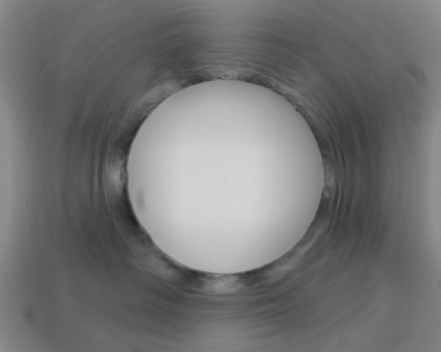 X0000113980334200910020954