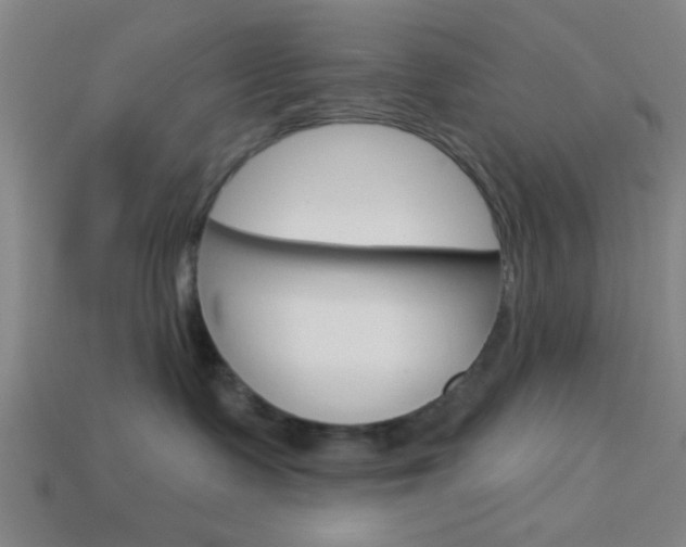 X0000113980335200910020954