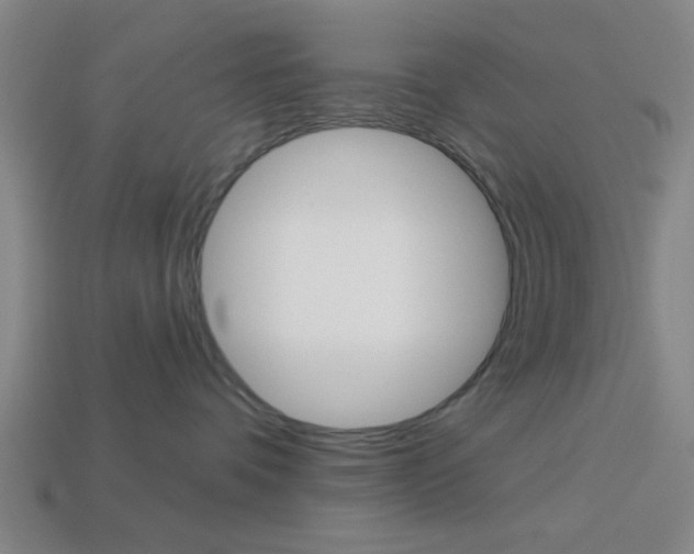 X0000113980336200910020954