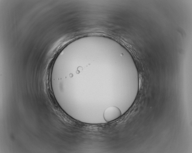 X0000113980339200910020953