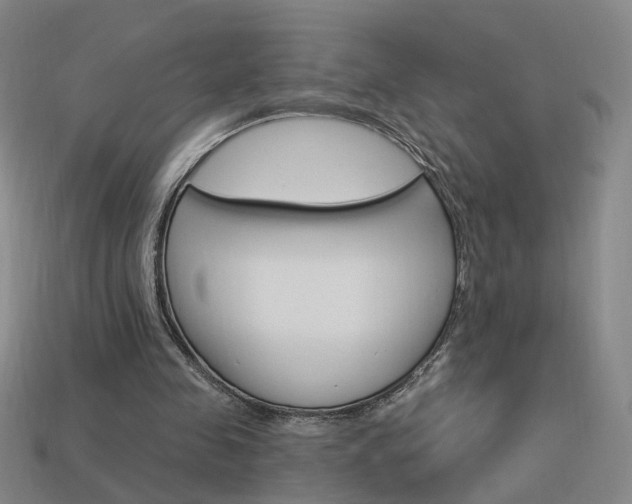 X0000113980341200910020953