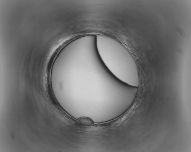 X0000113980342200910020953