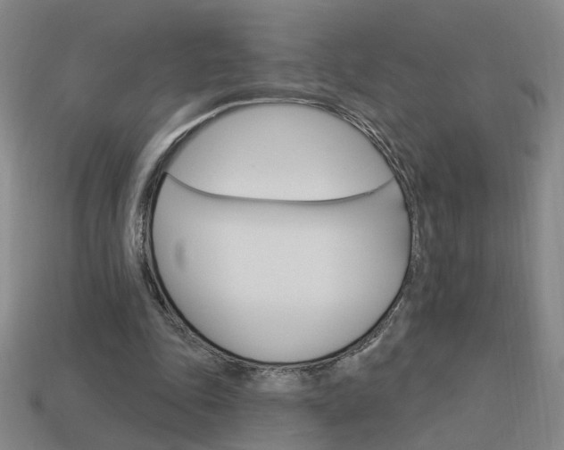 X0000113980343200910020953