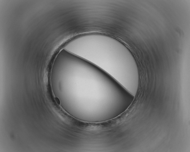 X0000113980350200910020953