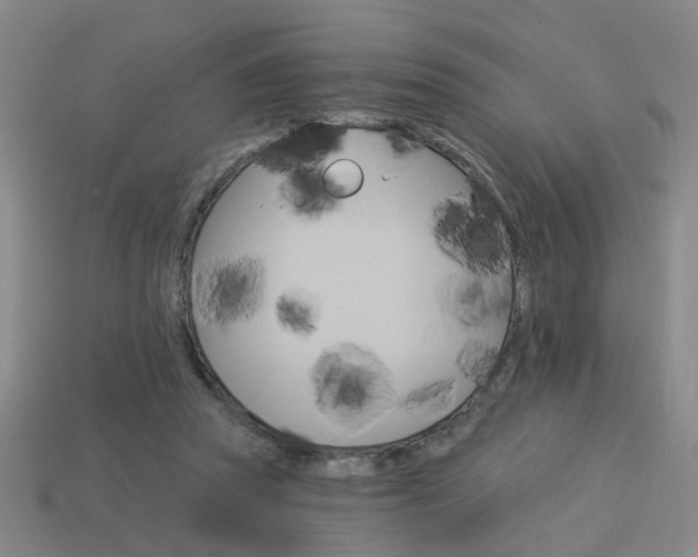 X0000113980353200910020953