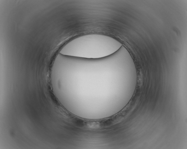 X0000113980355200910020953
