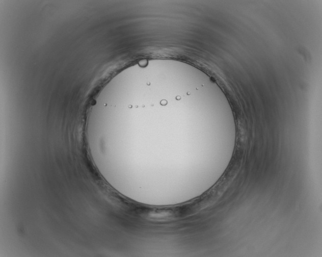 X0000113980357200910020953