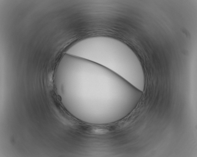 X0000113980360200910020954