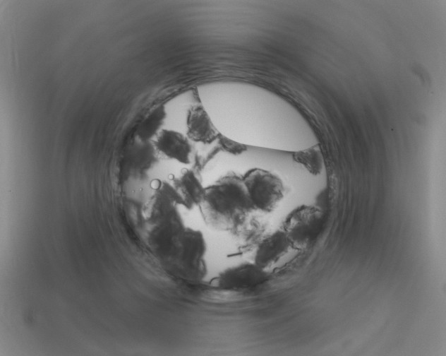 X0000113980361200910020954