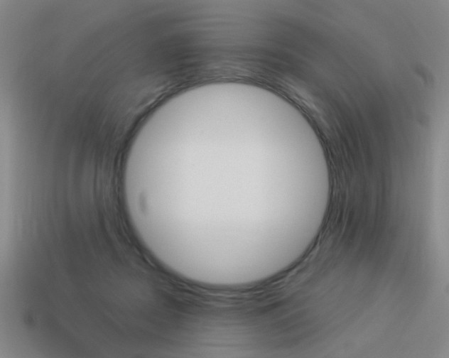X0000113980362200910020954