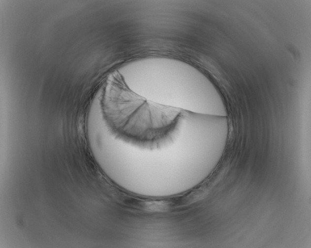 X0000113980363200910020954